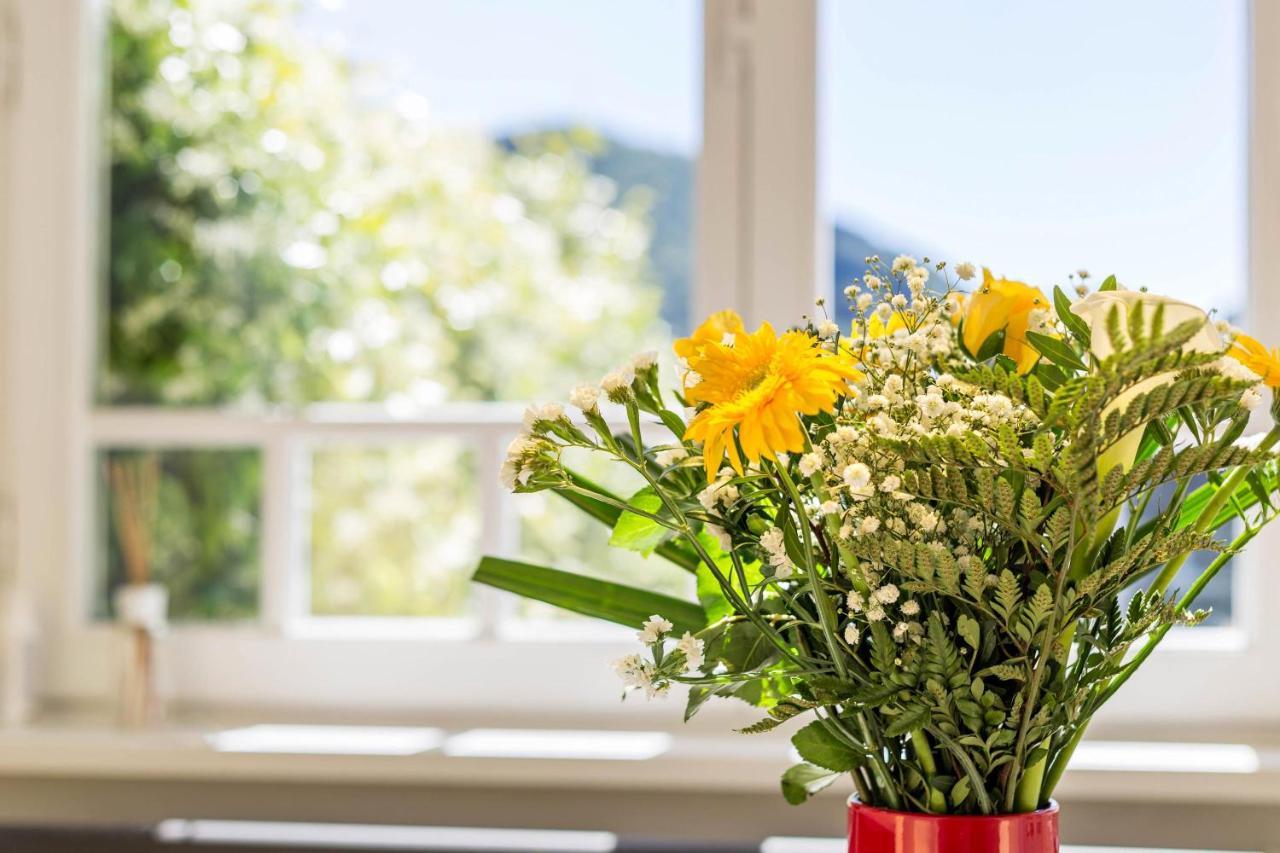 Garden Vista Lago Como Zewnętrze zdjęcie